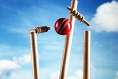 Cricket Cricket